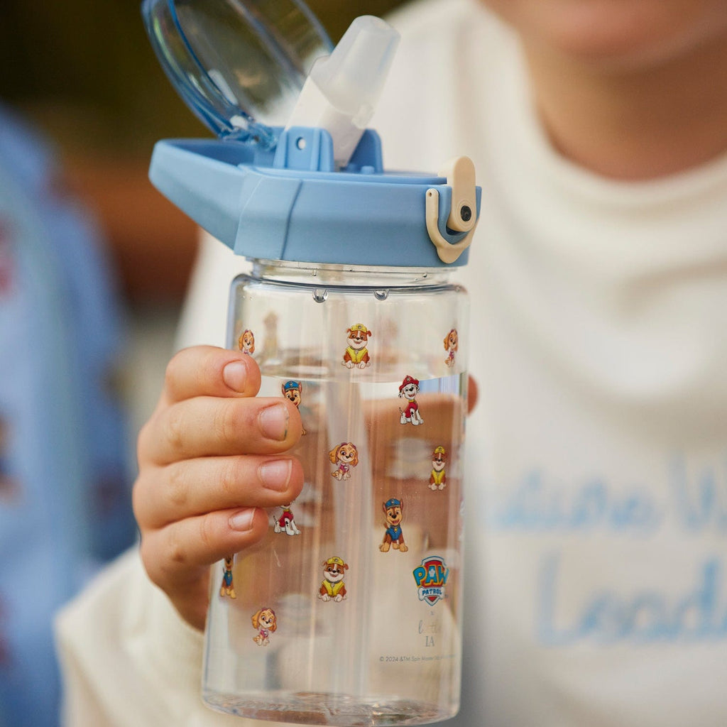 Paw Patrol Tritan Water Bottle, 500 ML