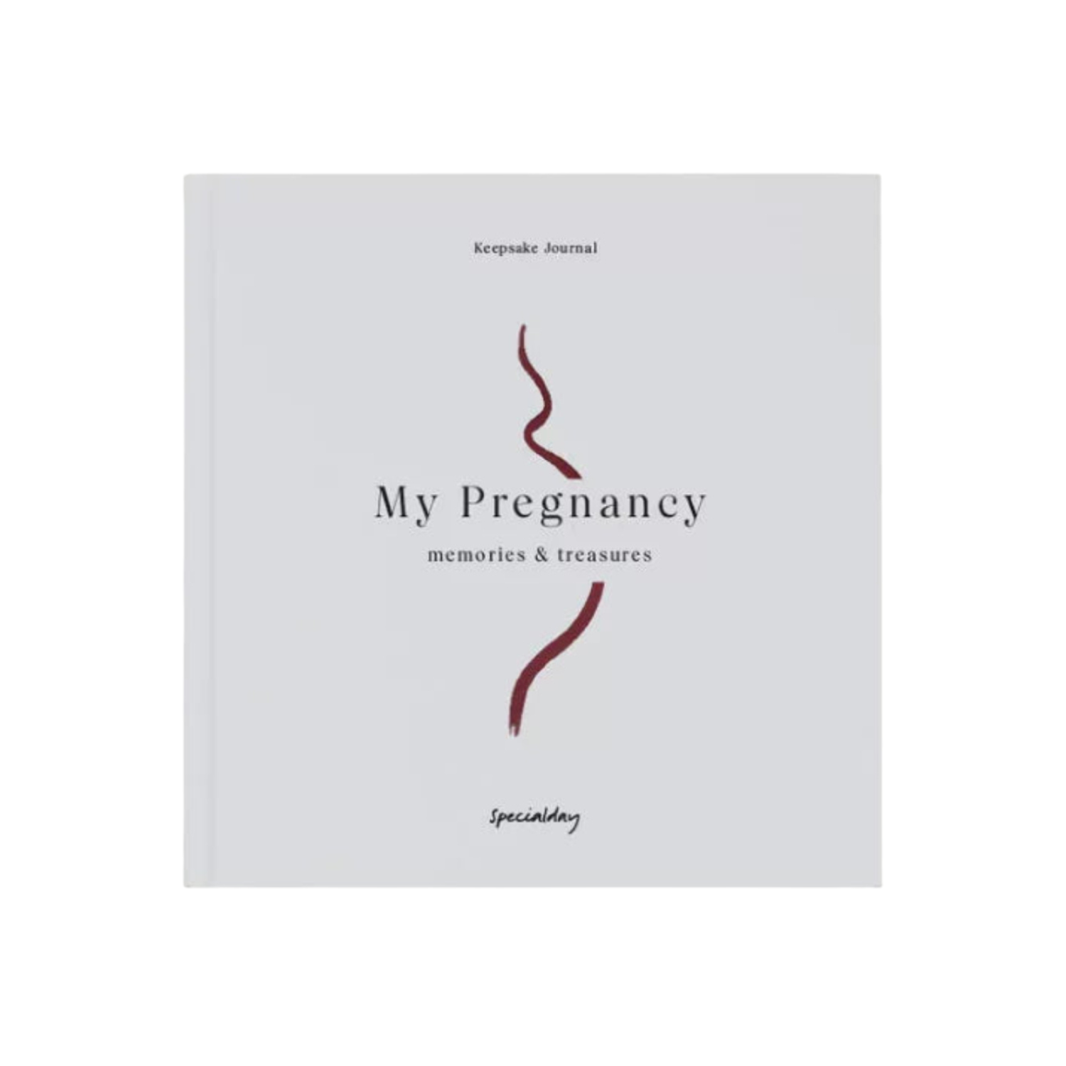 My Pregnancy – Memories & Treasures
