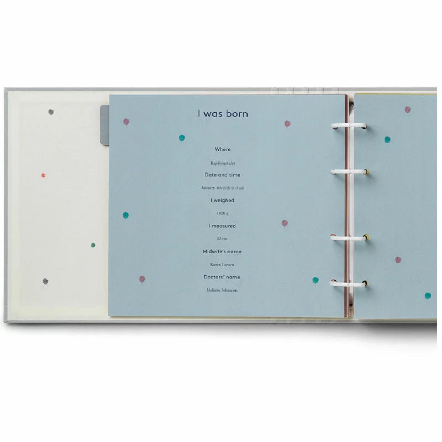 My First Years Baby Journal