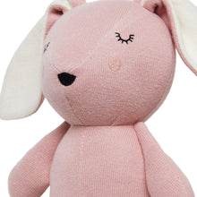 Load image into Gallery viewer, SnuggleBun Knitted Toy
