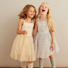 Load image into Gallery viewer, Silver Sparkle Dress
