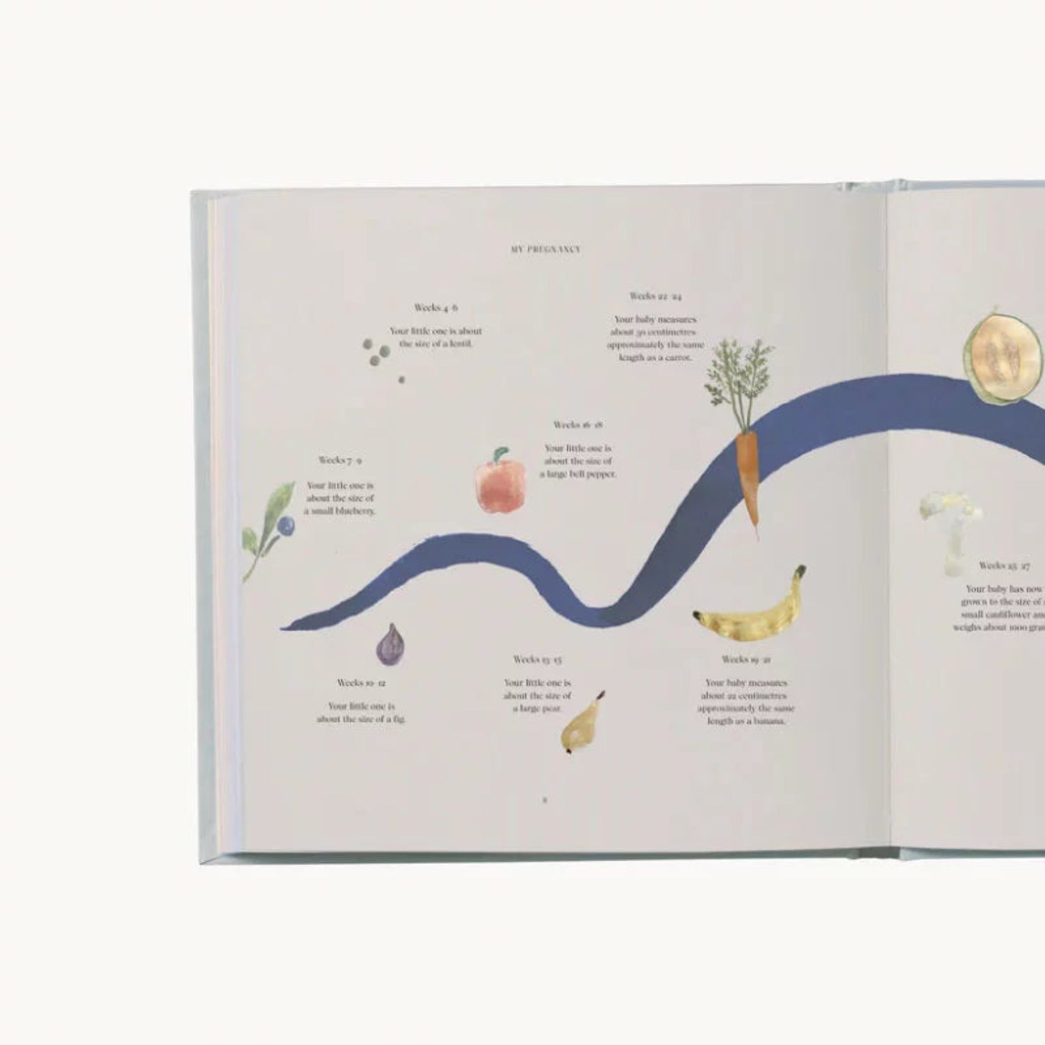 My Pregnancy – Memories & Treasures