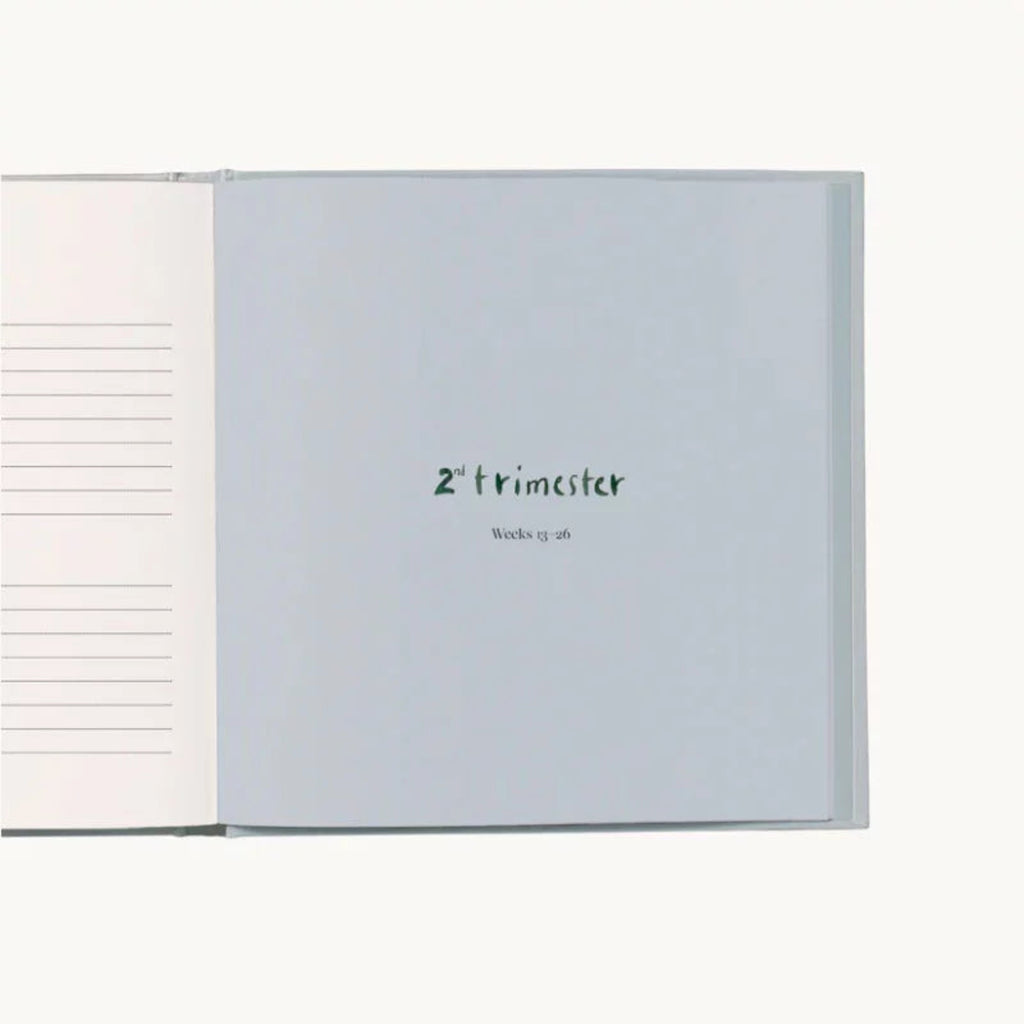 My Pregnancy – Memories & Treasures