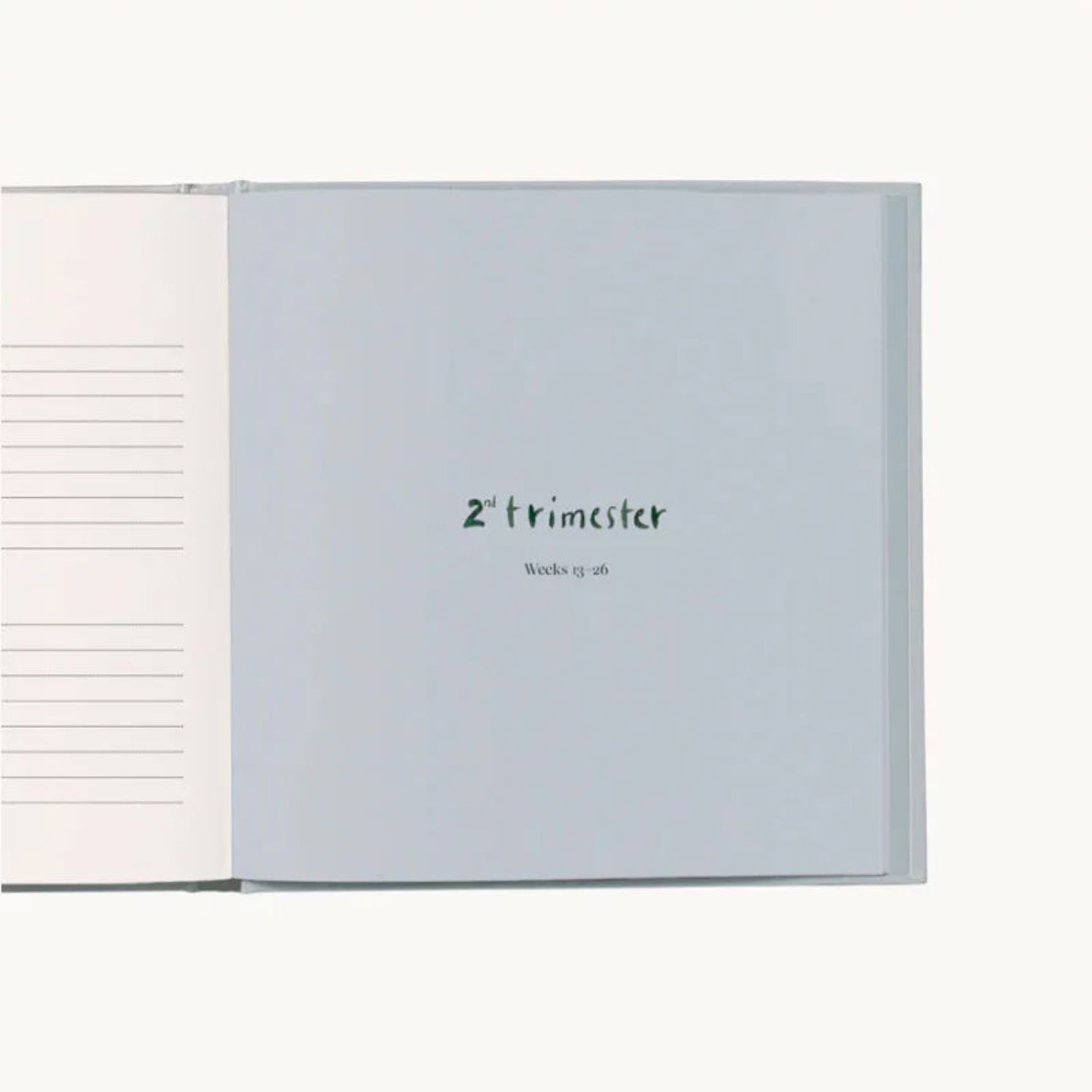 My Pregnancy – Memories & Treasures