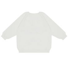 Load image into Gallery viewer, Dear Santa, I Can Explain Knit Sweater
