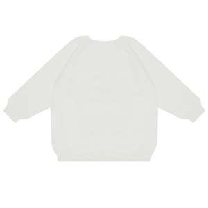 Dear Santa, I Can Explain Knit Sweater