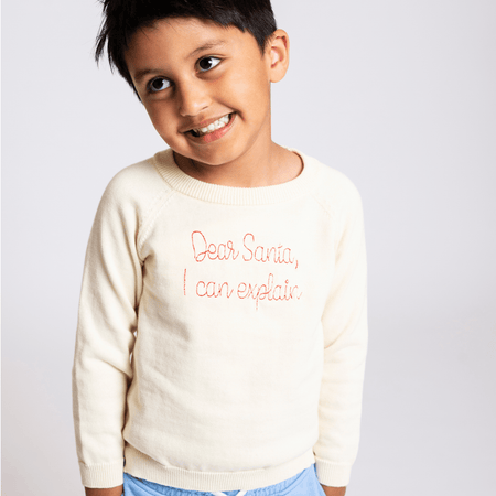 Dear Santa, I Can Explain Knit Sweater